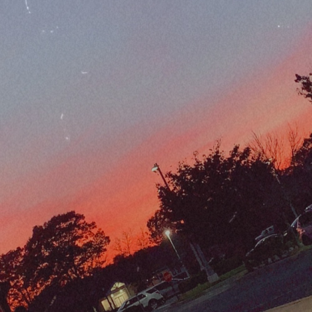 Meet your Posher, Charlotte